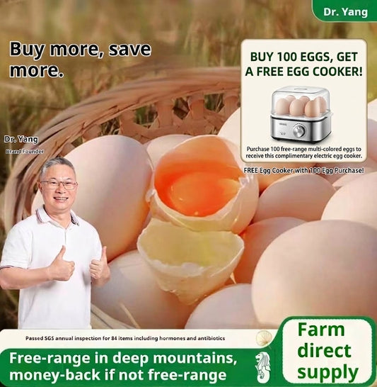 Deep Mountain Free-Range Eggs | SGS 84-Test Certified | Farm Direct Supply | No Hormones or Antibiotics | Jelly-Like Egg Whit