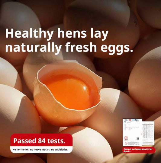 Deep Mountain Free-Range Eggs | SGS 84-Test Certified | Farm Direct Supply | No Hormones or Antibiotics | Jelly-Like Egg Whit