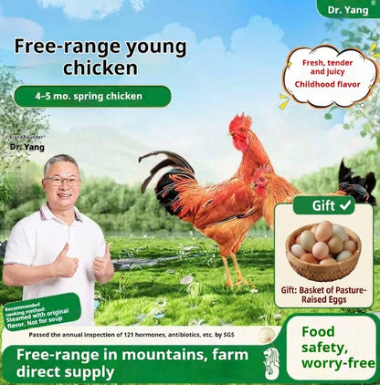 Free-Range Spring Chicken (4–5 mos) – Ideal for Light Simmering & Steaming